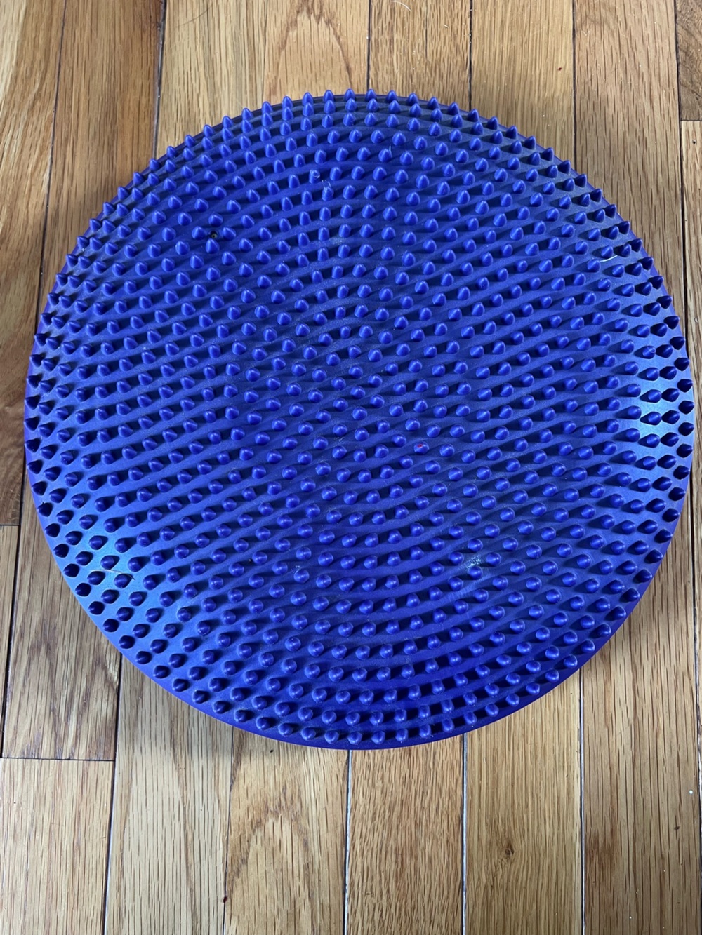 Purple Spiky Balance Disc Cushion sensory seat